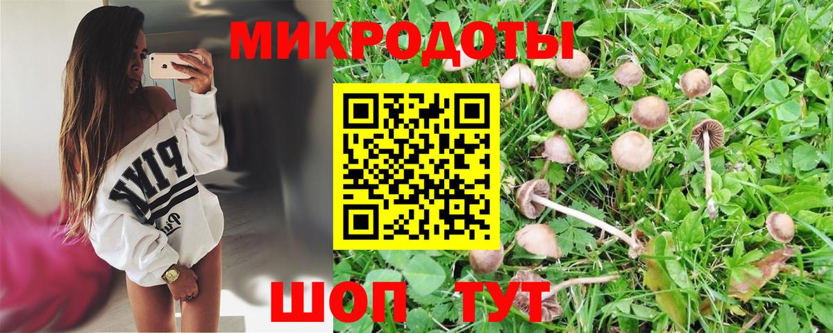 Псилоцибиновые грибы MAGIC MUSHROOMS  Вход с VPN  Фурманов 